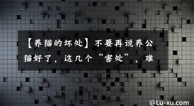 【養(yǎng)貓的壞處】不要再說養(yǎng)公貓好了，這幾個“害處”，難以接受