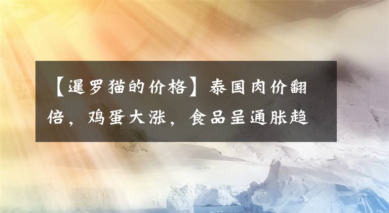 【暹羅貓的價(jià)格】泰國(guó)肉價(jià)翻倍，雞蛋大漲，食品呈通脹趨勢(shì)