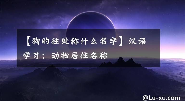 【狗的往處稱什么名字】漢語(yǔ)學(xué)習(xí)：動(dòng)物居住名稱