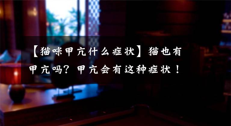 【貓咪甲亢什么癥狀】貓也有甲亢?jiǎn)?？甲亢?huì)有這種癥狀！