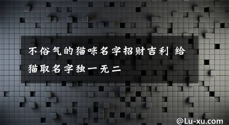 不俗氣的貓咪名字招財(cái)吉利 給貓取名字獨(dú)一無(wú)二