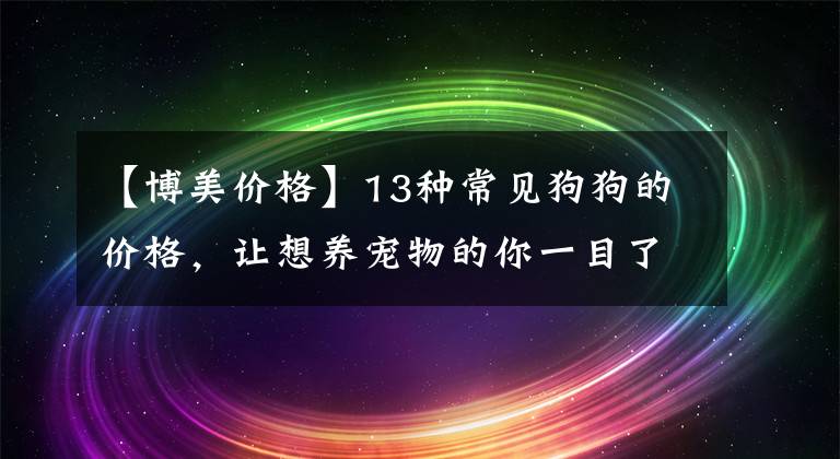 【博美價格】13種常見狗狗的價格，讓想養(yǎng)寵物的你一目了然！