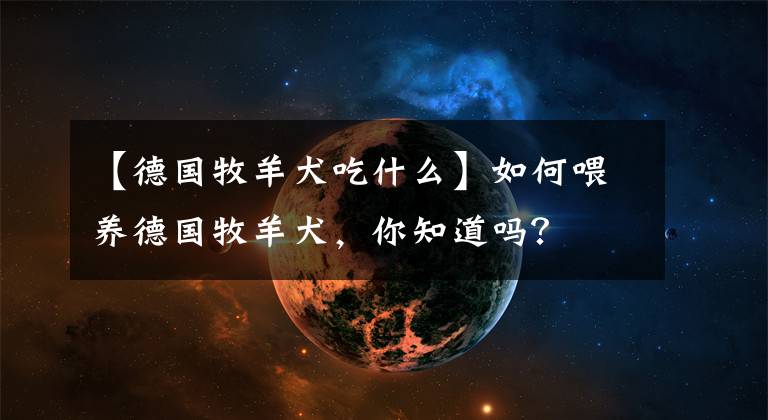 【德國(guó)牧羊犬吃什么】如何喂養(yǎng)德國(guó)牧羊犬，你知道嗎？