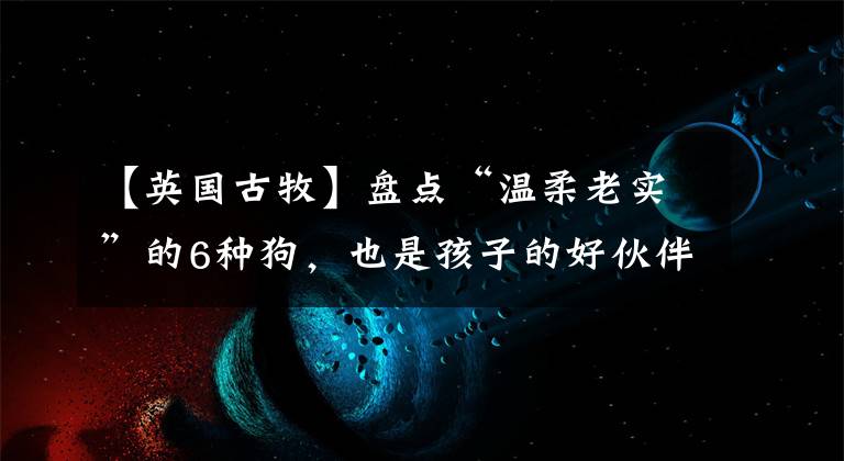 【英國古牧】盤點“溫柔老實”的6種狗，也是孩子的好伙伴，誰養(yǎng)誰稱贊