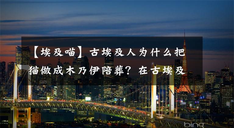 【埃及喵】古埃及人為什么把貓做成木乃伊陪葬？在古埃及為什么把貓當(dāng)神？