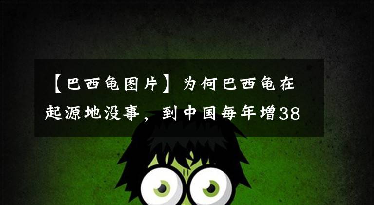 【巴西龜圖片】為何巴西龜在起源地沒事，到中國(guó)每年增3800萬？我國(guó)吃貨：能吃嗎