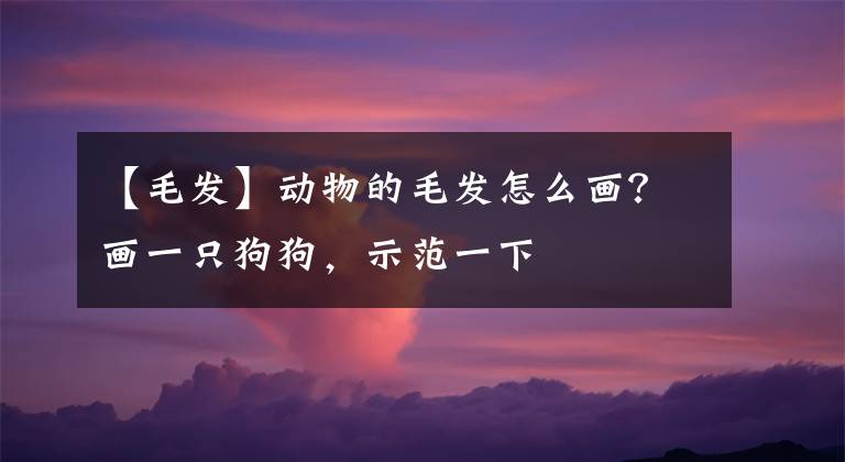 【毛發(fā)】動物的毛發(fā)怎么畫？畫一只狗狗，示范一下