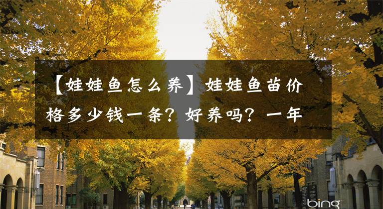 【娃娃魚怎么養(yǎng)】娃娃魚苗價格多少錢一條？好養(yǎng)嗎？一年能賺多少？