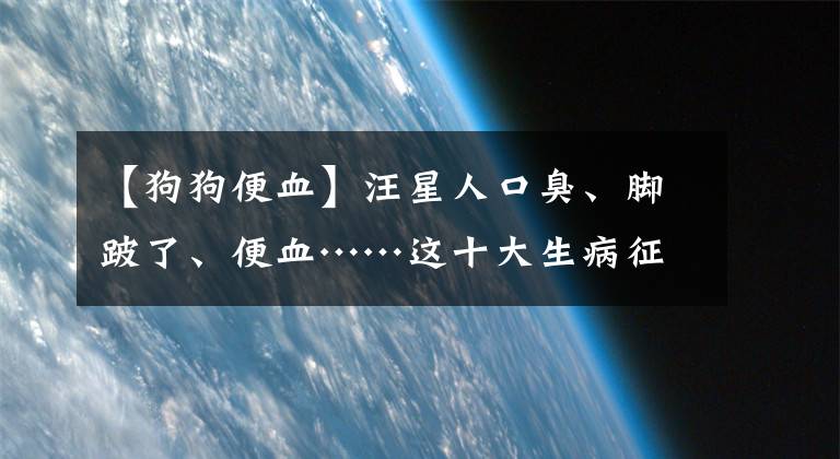 【狗狗便血】汪星人口臭、腳跛了、便血……這十大生病征兆，一定要注意！