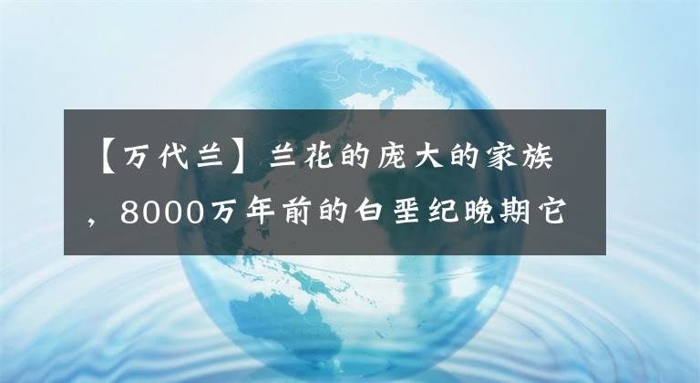 【萬代蘭】蘭花的龐大的家族，8000萬年前的白堊紀(jì)晚期它們就已經(jīng)存在了