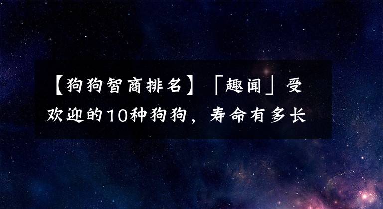 【狗狗智商排名】「趣聞」受歡迎的10種狗狗，壽命有多長，你知道嗎？