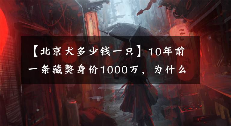 【北京犬多少錢一只】10年前一條藏獒身價1000萬，為什么現(xiàn)在沒人養(yǎng)了？看完漲知識了