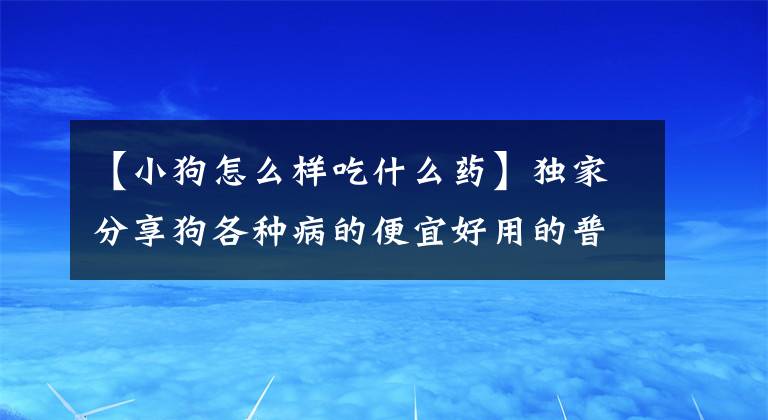 【小狗怎么樣吃什么藥】獨家分享狗各種病的便宜好用的普通藥。