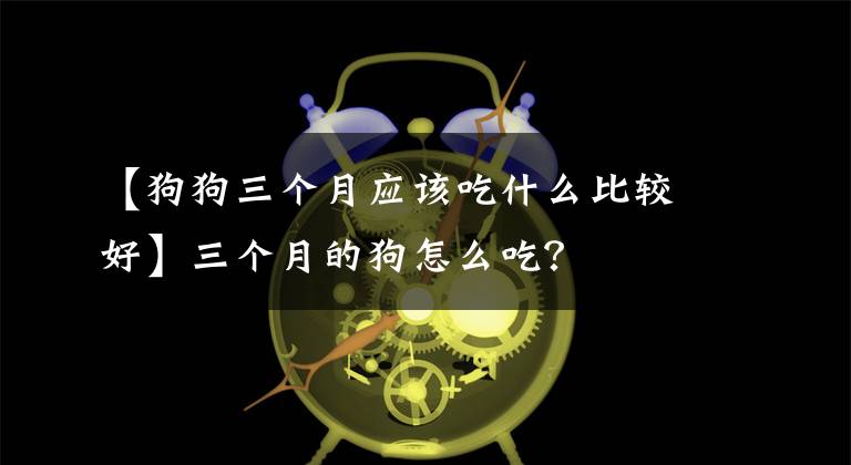 【狗狗三個(gè)月應(yīng)該吃什么比較好】三個(gè)月的狗怎么吃？