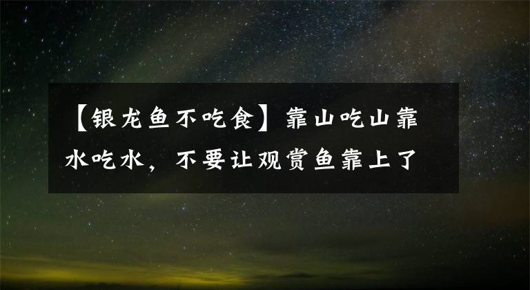 【銀龍魚不吃食】靠山吃山靠水吃水，不要讓觀賞魚靠上了我們反而沒(méi)東西可吃！