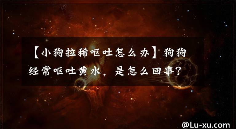 【小狗拉稀嘔吐怎么辦】狗狗經(jīng)常嘔吐黃水，是怎么回事？處理狗狗嘔吐的有效措施參考