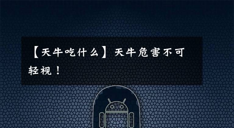 【天牛吃什么】天牛危害不可輕視！