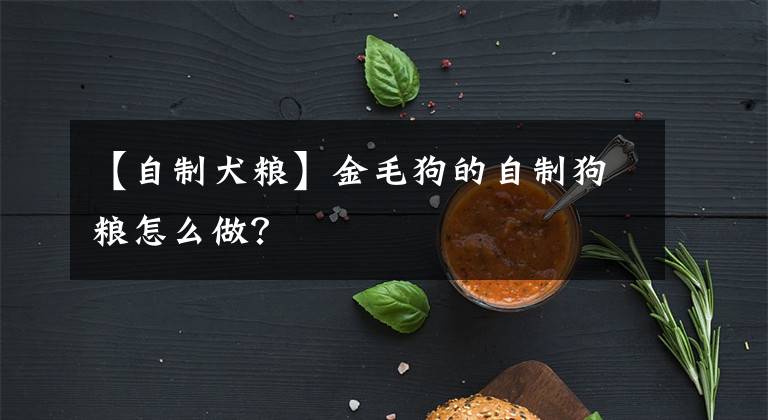 【自制犬糧】金毛狗的自制狗糧怎么做？