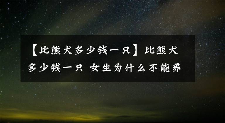 【比熊犬多少錢(qián)一只】比熊犬多少錢(qián)一只 女生為什么不能養(yǎng)比熊犬