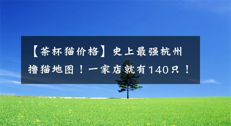 【茶杯貓價格】史上最強(qiáng)杭州擼貓地圖！一家店就有140只！身價過萬也都能擼到