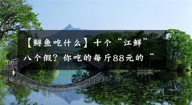 【鱘魚(yú)吃什么】十個(gè)“江鮮”八個(gè)假？你吃的每斤88元的“中華鱘”竟然是……