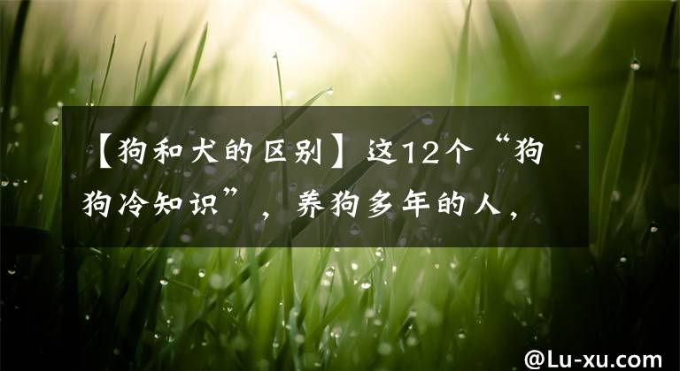 【狗和犬的區(qū)別】這12個“狗狗冷知識”，養(yǎng)狗多年的人，也不一定懂