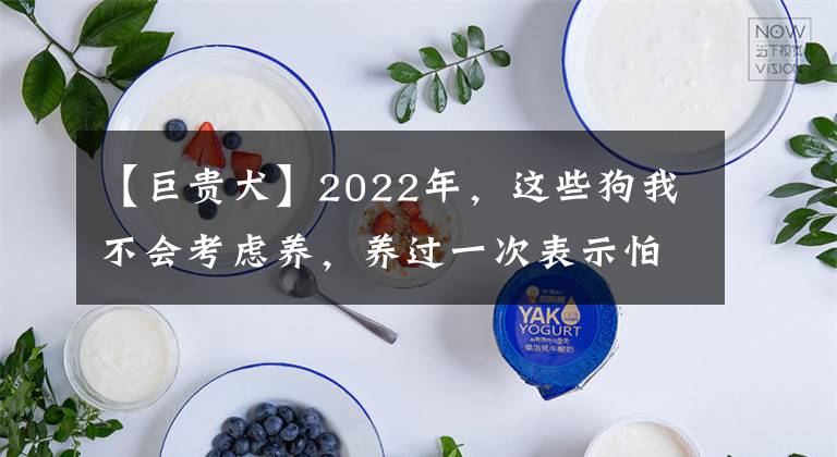 【巨貴犬】2022年，這些狗我不會考慮養(yǎng)，養(yǎng)過一次表示怕了