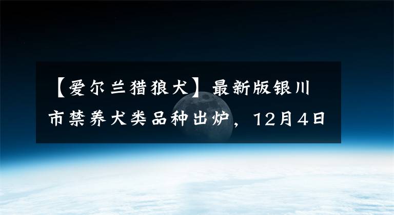 【愛爾蘭獵狼犬】最新版銀川市禁養(yǎng)犬類品種出爐，12月4日起禁養(yǎng)這46種犬類