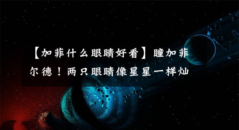 【加菲什么眼睛好看】瞳加菲爾德！兩只眼睛像星星一樣燦爛，對主人100000元也不換