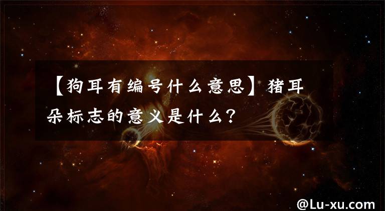 【狗耳有編號(hào)什么意思】豬耳朵標(biāo)志的意義是什么？