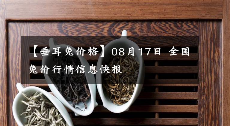 【垂耳兔價(jià)格】08月17日 全國兔價(jià)行情信息快報(bào)