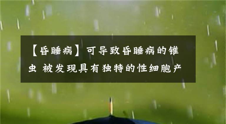 【昏睡病】可導(dǎo)致昏睡病的錐蟲 被發(fā)現(xiàn)具有獨(dú)特的性細(xì)胞產(chǎn)生過(guò)程