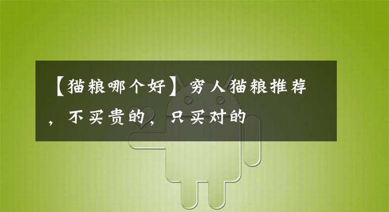 【貓糧哪個(gè)好】窮人貓糧推薦，不買(mǎi)貴的，只買(mǎi)對(duì)的