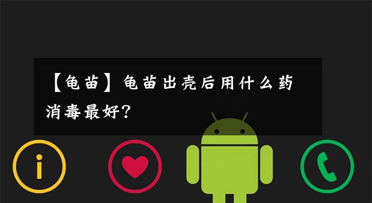 【龜苗】龜苗出殼后用什么藥消毒最好？