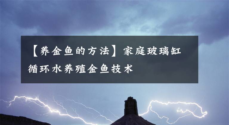 【養(yǎng)金魚的方法】家庭玻璃缸循環(huán)水養(yǎng)殖金魚技術(shù)