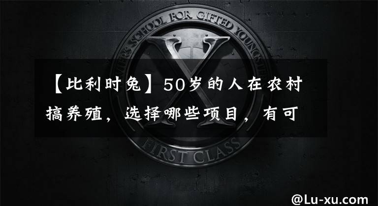 【比利時兔】50歲的人在農(nóng)村搞養(yǎng)殖，選擇哪些項目，有可能一年收入20萬以上？