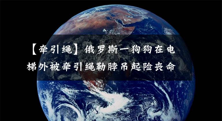 【牽引繩】俄羅斯一狗狗在電梯外被牽引繩勒脖吊起險喪命 幸被鄰居救下