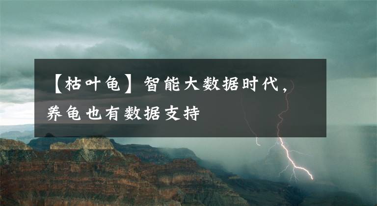 【枯葉龜】智能大數(shù)據(jù)時(shí)代，養(yǎng)龜也有數(shù)據(jù)支持