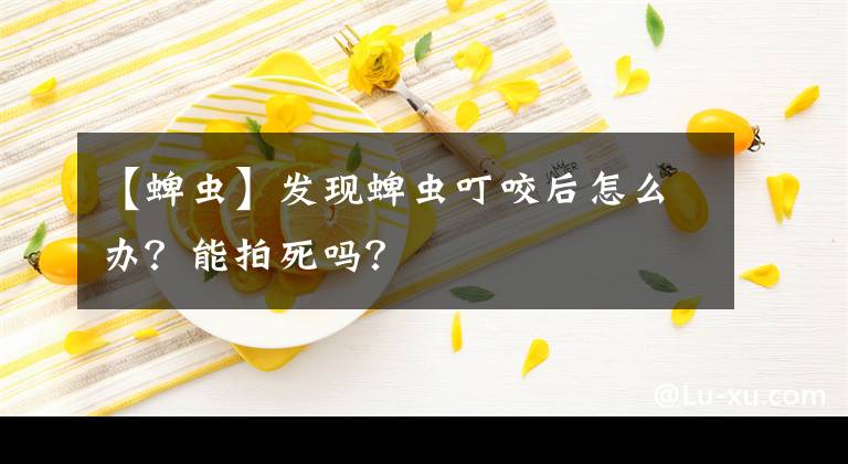 【蜱蟲(chóng)】發(fā)現(xiàn)蜱蟲(chóng)叮咬后怎么辦？能拍死嗎？