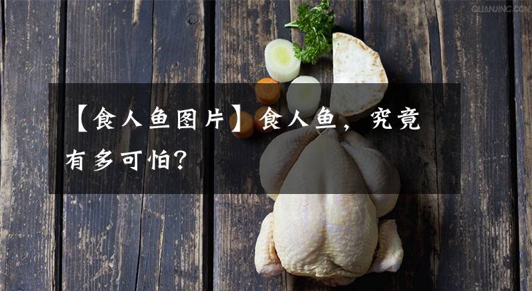 【食人魚圖片】食人魚，究竟有多可怕？