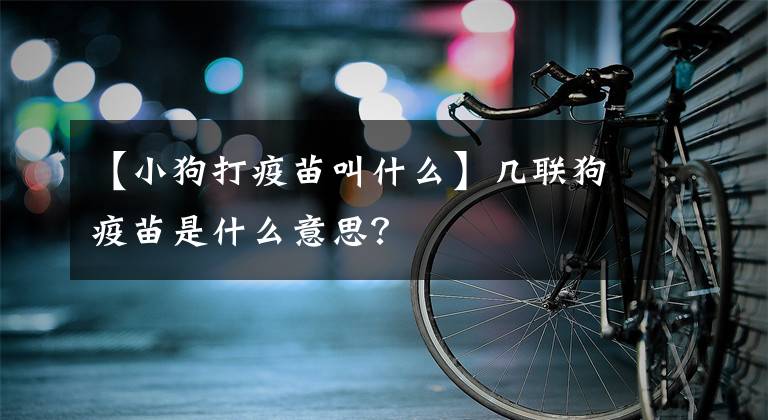 【小狗打疫苗叫什么】幾聯(lián)狗疫苗是什么意思？