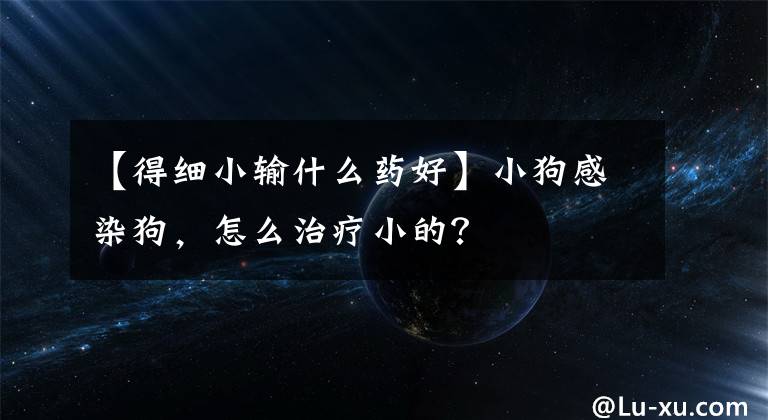 【得細(xì)小輸什么藥好】小狗感染狗，怎么治療小的？