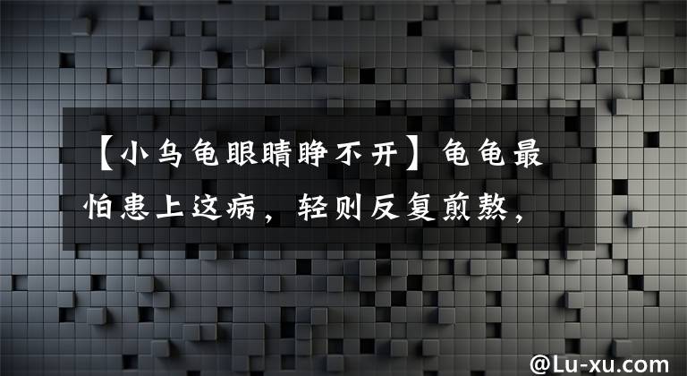 【小烏龜眼睛睜不開】龜龜最怕患上這病，輕則反復(fù)煎熬，重則性命不保