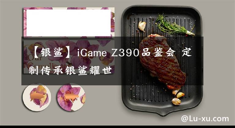 【銀鯊】iGame Z390品鑒會 定制傳承銀鯊耀世