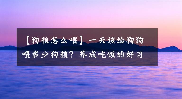 【狗糧怎么喂】一天該給狗狗喂多少狗糧？養(yǎng)成吃飯的好習(xí)慣，必須樹立3個規(guī)則