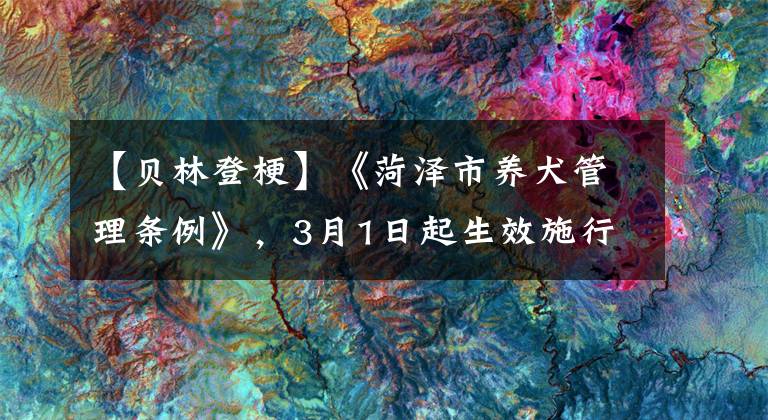 【貝林登梗】《菏澤市養(yǎng)犬管理?xiàng)l例》，3月1日起生效施行！