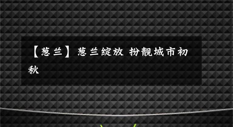 【蔥蘭】蔥蘭綻放 扮靚城市初秋