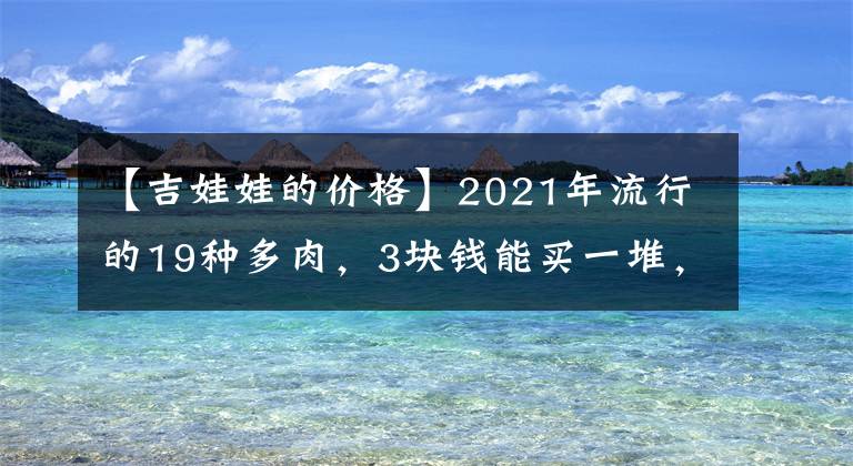 【吉娃娃的價(jià)格】2021年流行的19種多肉，3塊錢能買一堆，種土里明年“小崽爆盆”