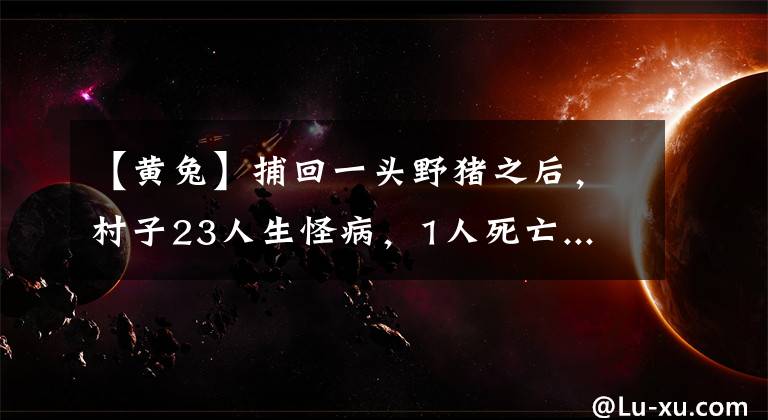 【黃兔】捕回一頭野豬之后，村子23人生怪病，1人死亡...哪些野生動(dòng)物不能再濫食了？