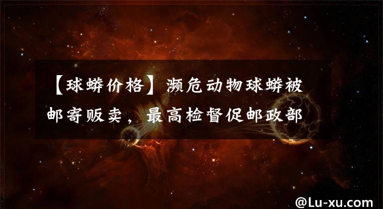 【球蟒價格】瀕危動物球蟒被郵寄販賣，最高檢督促郵政部門整治快遞行業(yè)